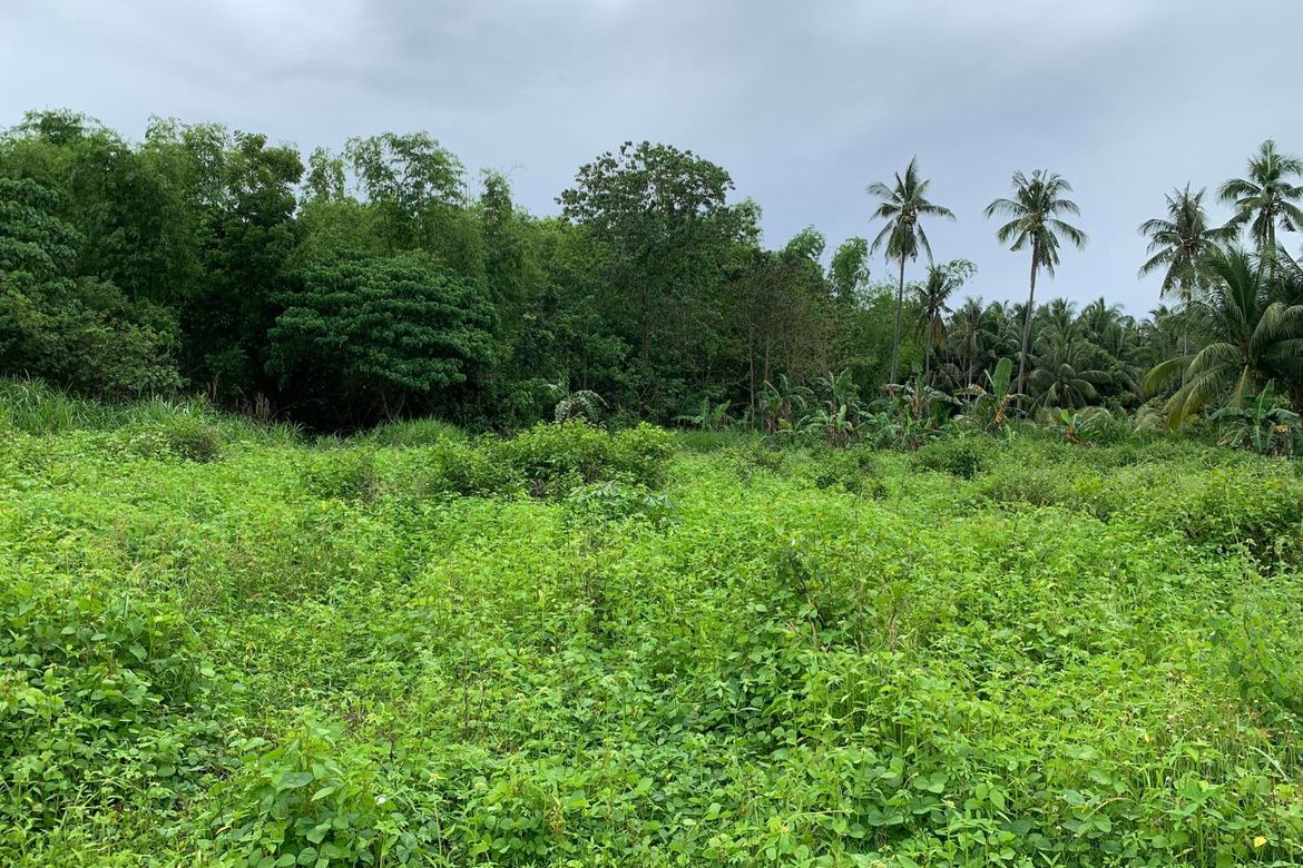 Commercial for Sale in Tugawe, Dauin, Negros Oriental – photo 7