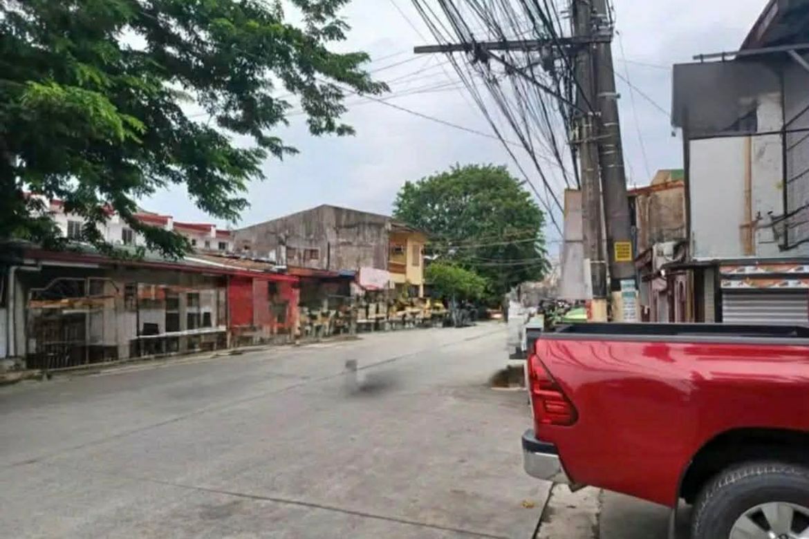 Commercial for Sale in Zapote, Las Piñas, Metro Manila – photo 3