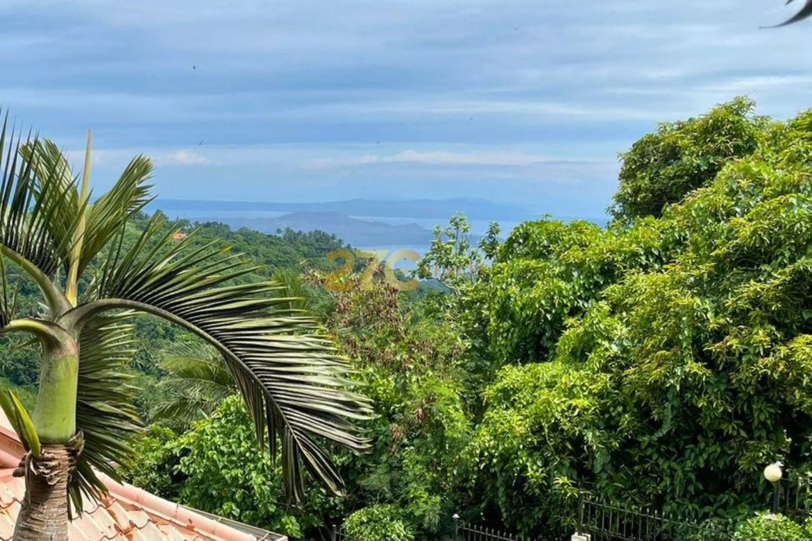 Hotel / Resort for Sale in Iruhin West, Tagaytay, Cavite – photo 5