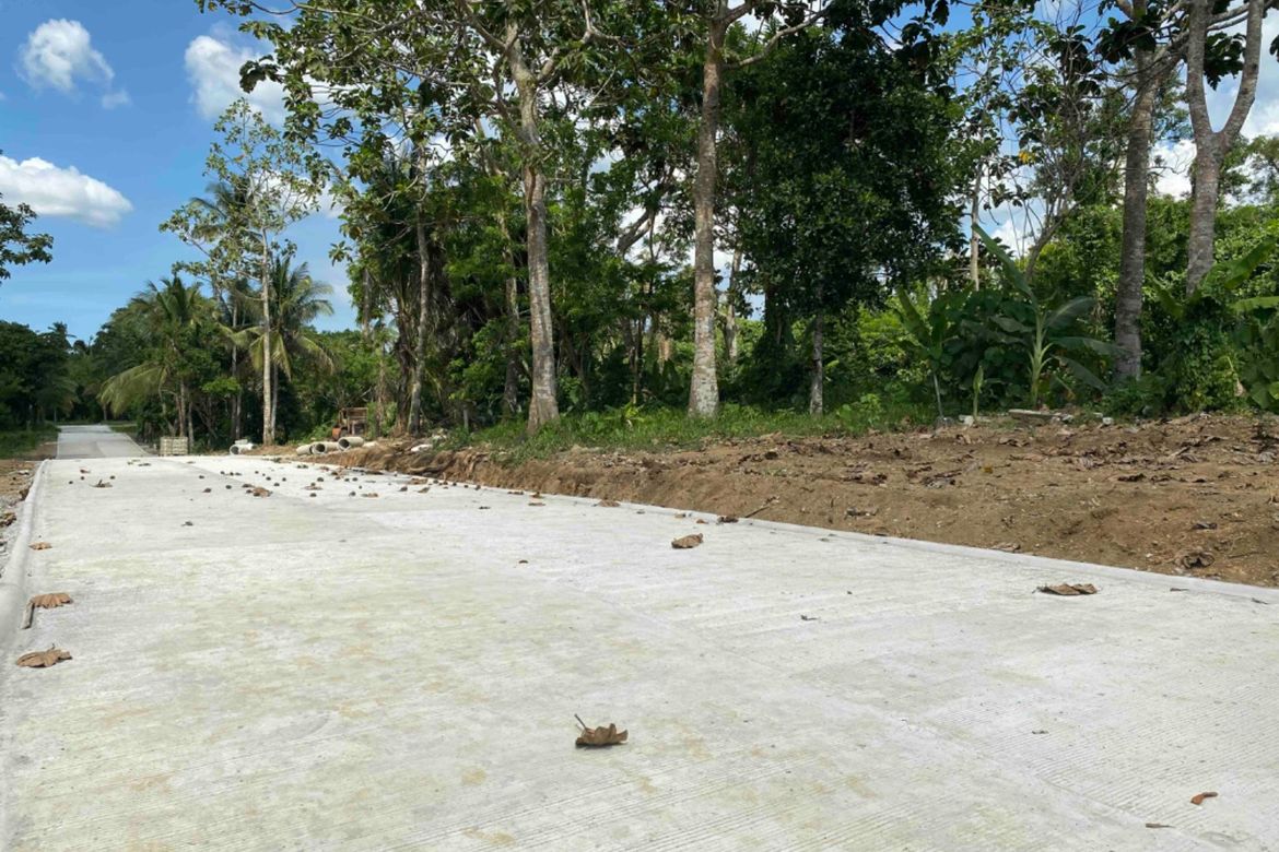House for Sale in Dagatan, Amadeo, Cavite – photo 3