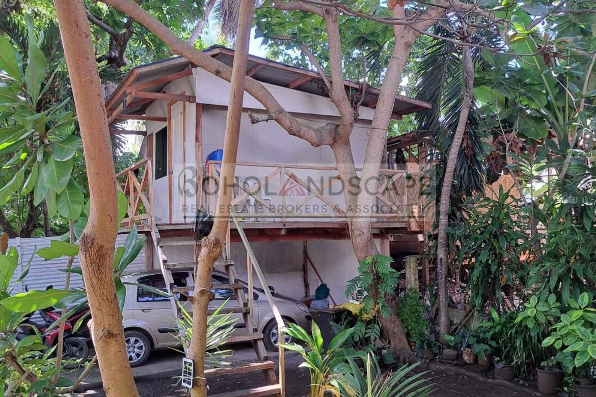 House for Sale in Doljo, Panglao, Bohol – photo 6