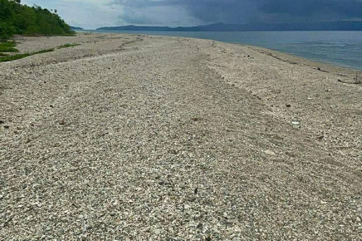House for Sale in Dubduban, San Agustin, Romblon – photo 7