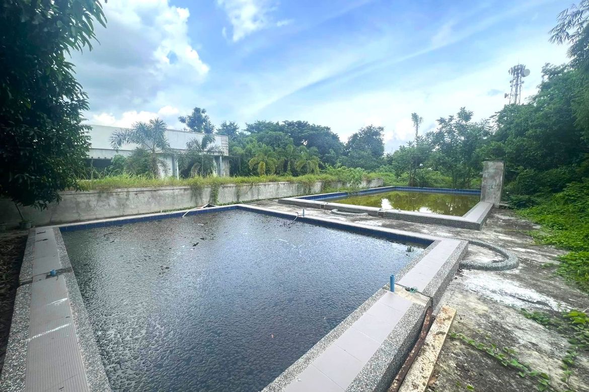House for Sale in Poblacion, Malasiqui, Pangasinan – photo 6