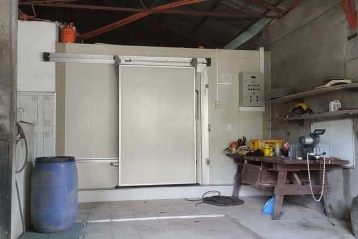 House for Sale in Santa Juliana, Capas, Tarlac – photo 7