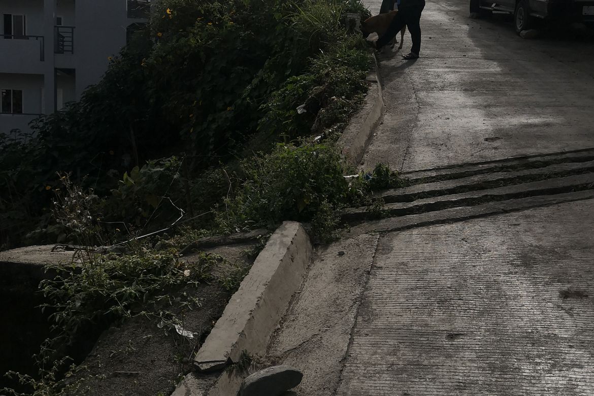 Land for Sale in A. Bonifacio-Caguioa-Rimando, Baguio, Benguet – photo 3