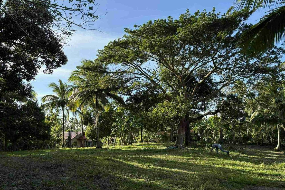 Land for Sale in A. Dalusag, General Emilio Aguinaldo, Cavite – photo 3