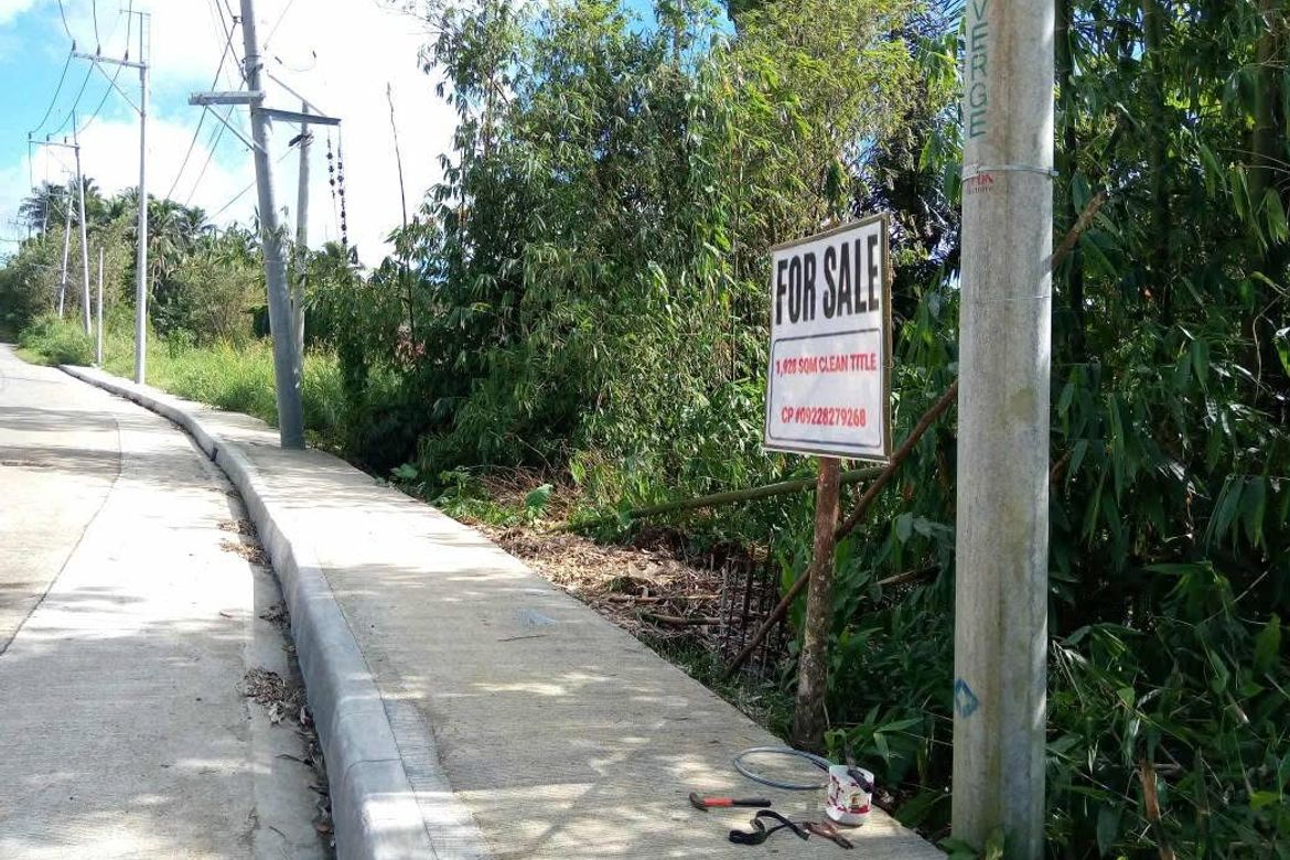 Land for Sale in Abang, Lucban, Quezon – photo 3