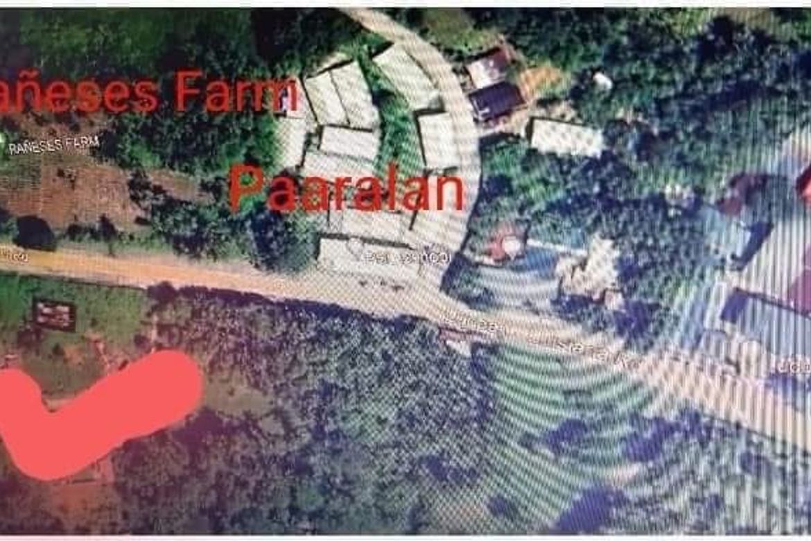 Land for Sale in Abang, Lucban, Quezon – photo 7