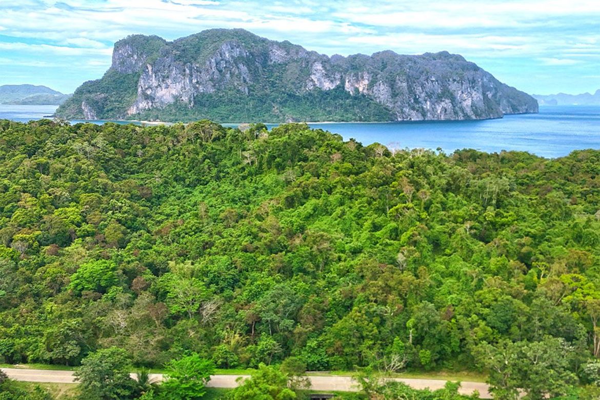 Land for Sale in Aberawan, El Nido, Palawan – photo 2