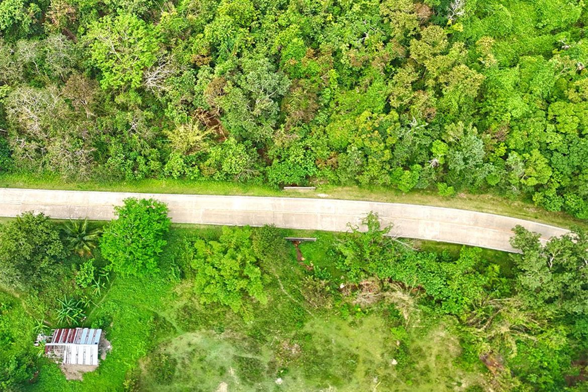 Land for Sale in Aberawan, El Nido, Palawan – photo 5