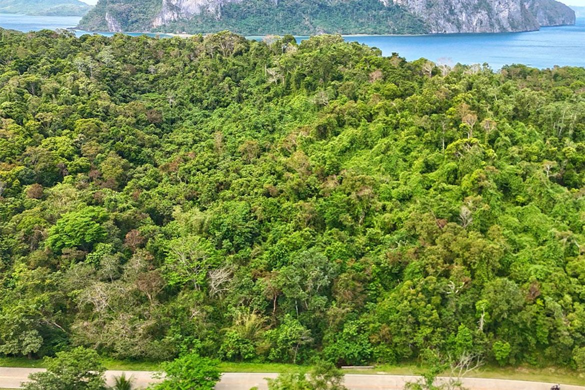 Land for Sale in Aberawan, El Nido, Palawan – photo 6