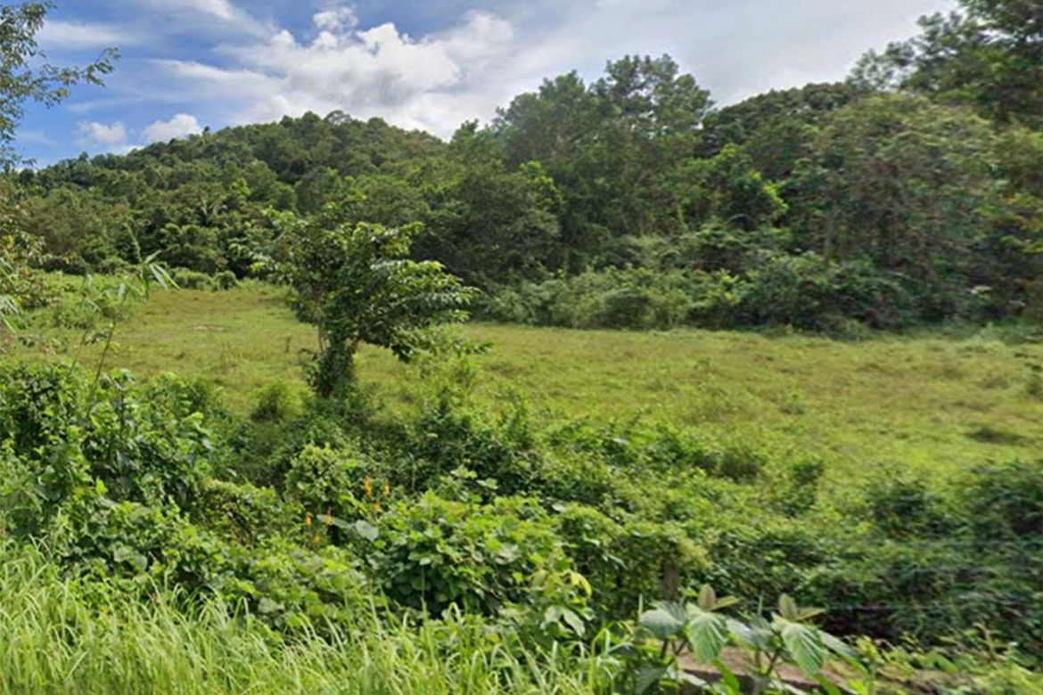 Land for Sale in Aberawan, El Nido, Palawan – photo 7