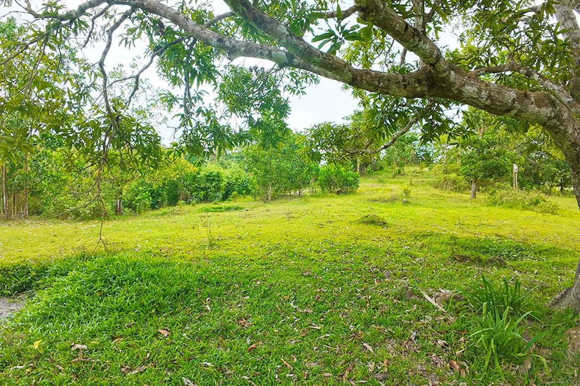 Land for Sale in Aberawan, El Nido, Palawan – photo 7