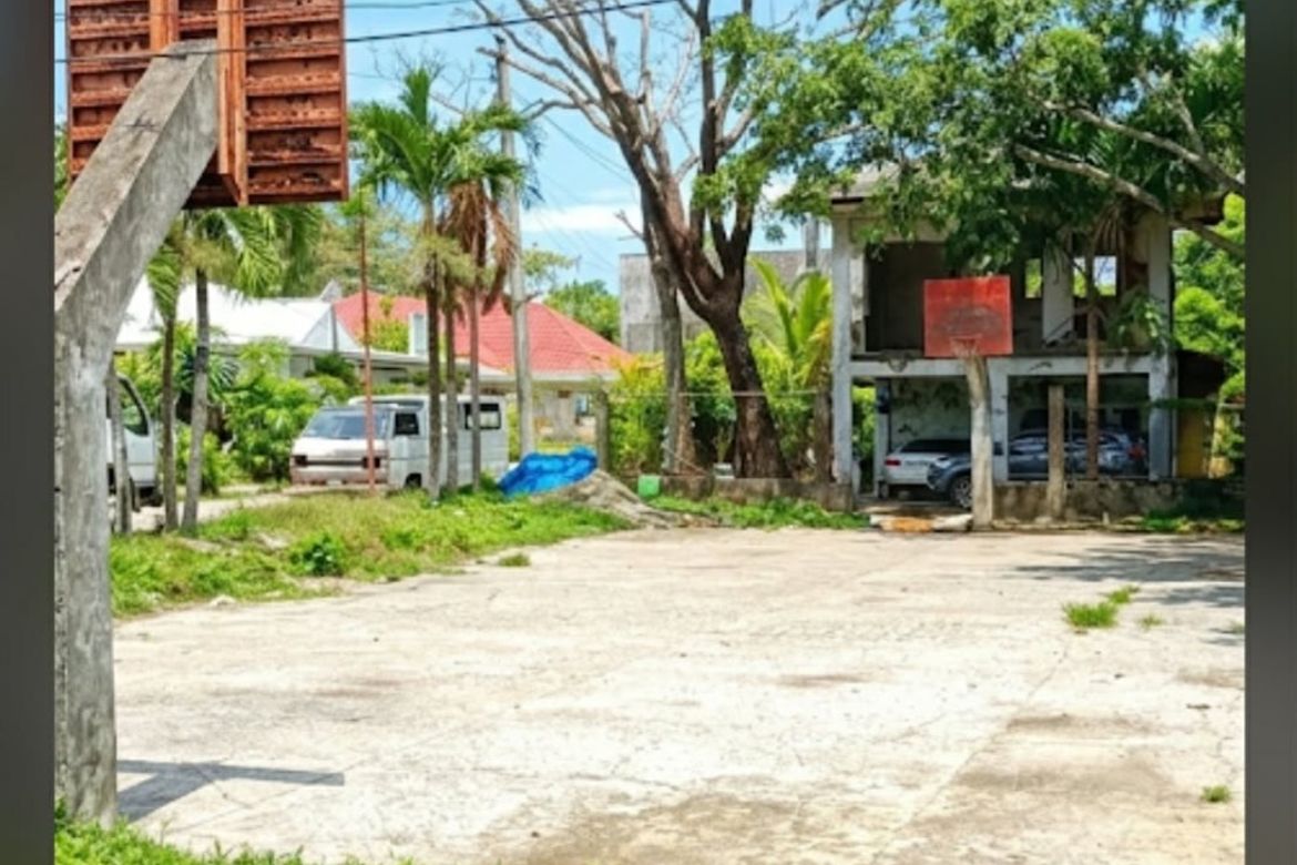 Land for Sale in Abeto Mirasol Taft South, Iloilo City, Iloilo – photo 4