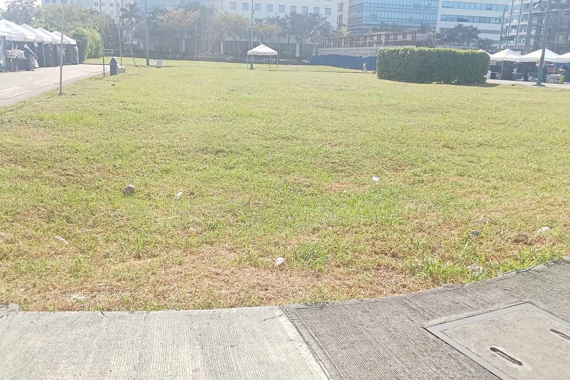 Land for Sale in Abeto Mirasol Taft South, Iloilo City, Iloilo – photo 3