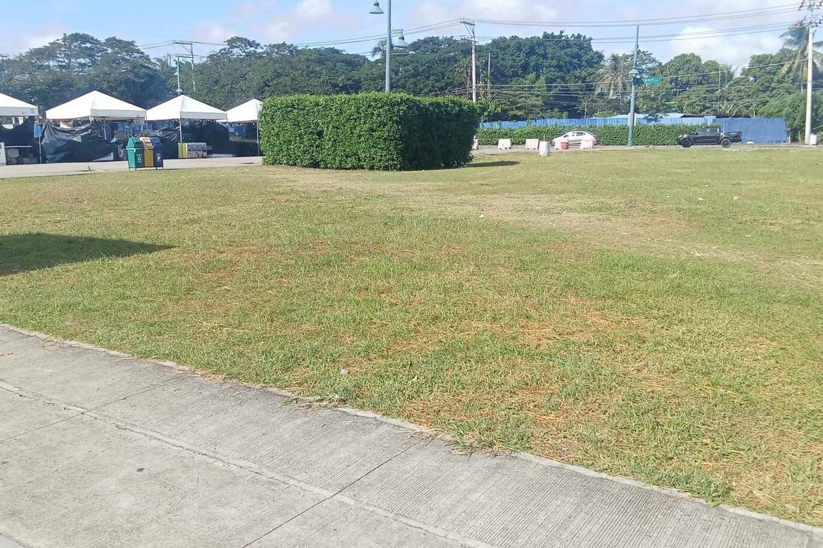 Land for Sale in Abeto Mirasol Taft South, Iloilo City, Iloilo – photo 8
