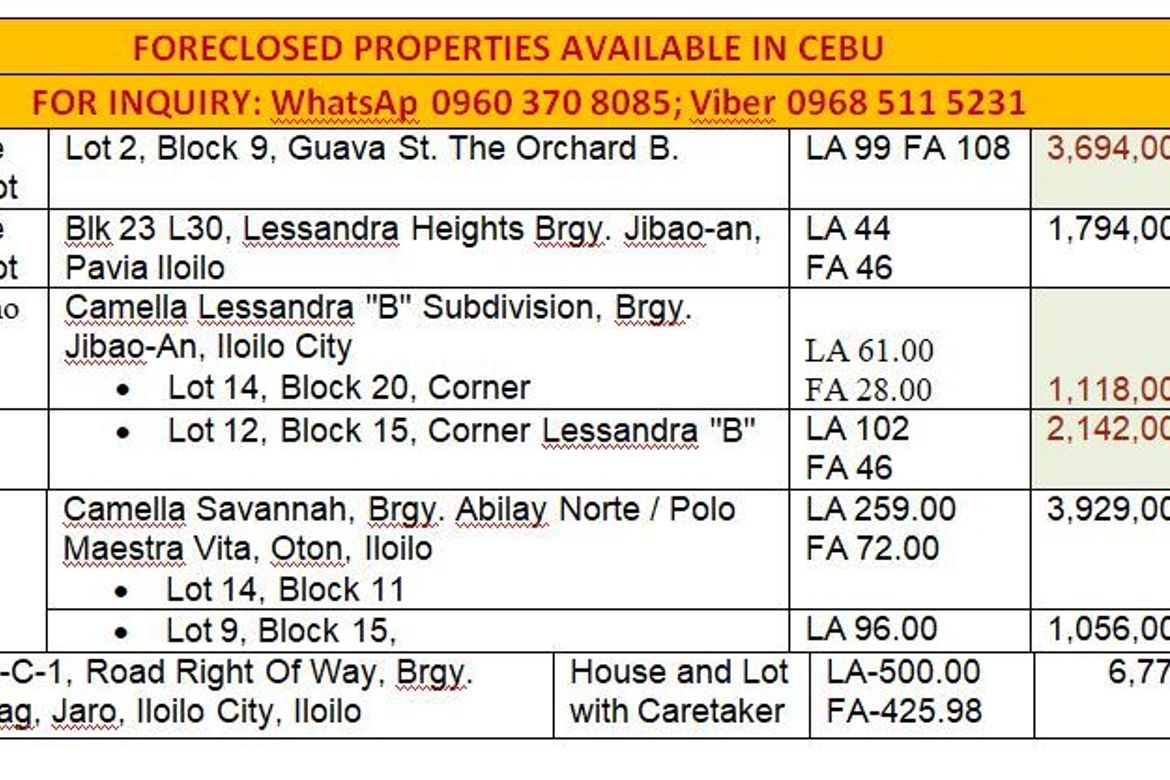 Land for Sale in Abilay Norte, Oton, Iloilo – photo 2