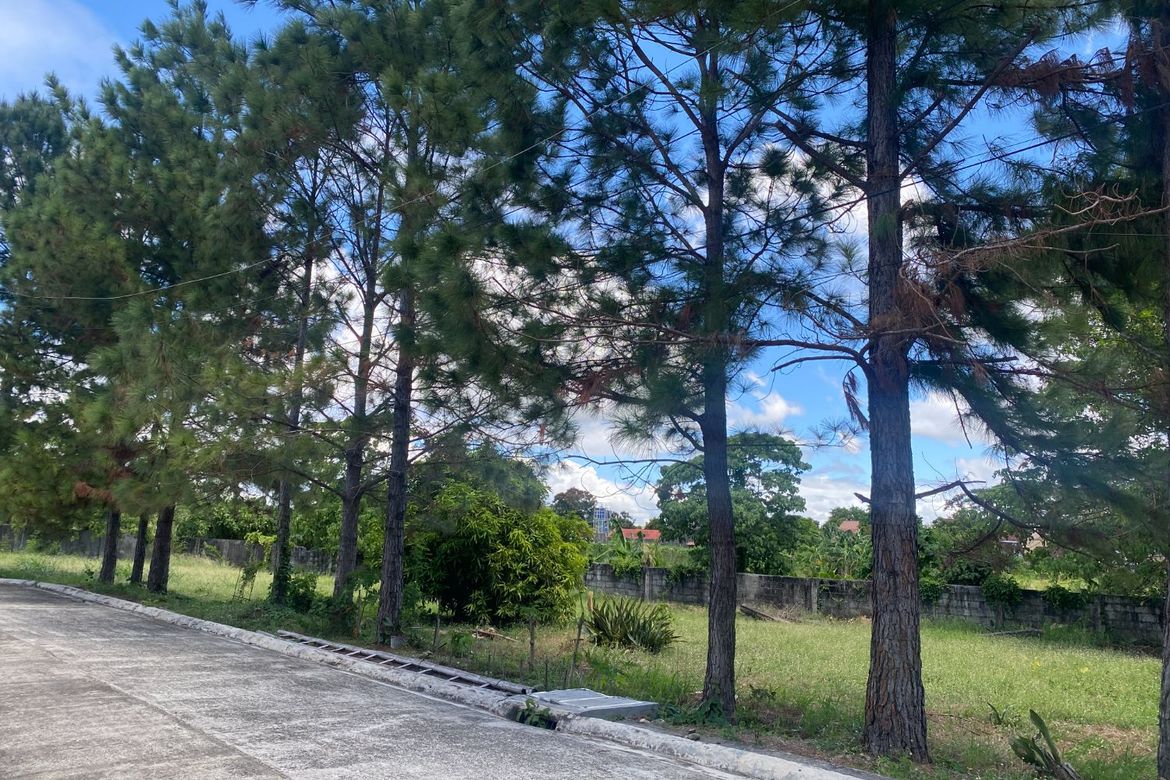 Land for Sale in Abilay Norte, Oton, Iloilo – photo 2