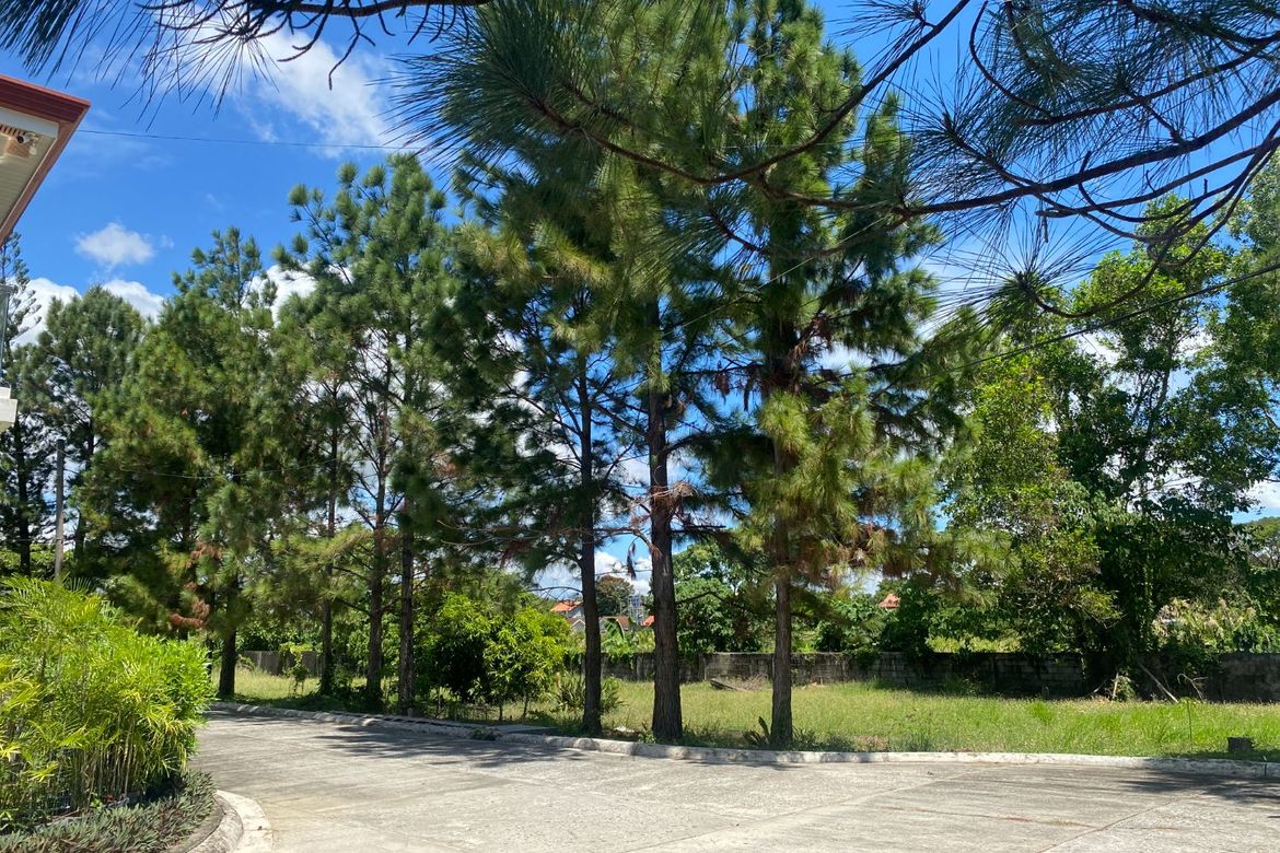 Land for Sale in Abilay Norte, Oton, Iloilo – photo 5