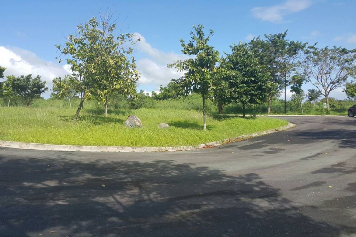 Land for Sale in Abrio , Santo Domingo, Santa Rosa, Laguna