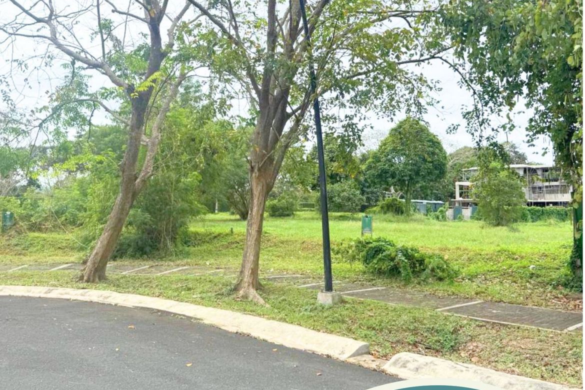 Land for Sale in Abrio , Santo Domingo, Santa Rosa, Laguna – photo 4