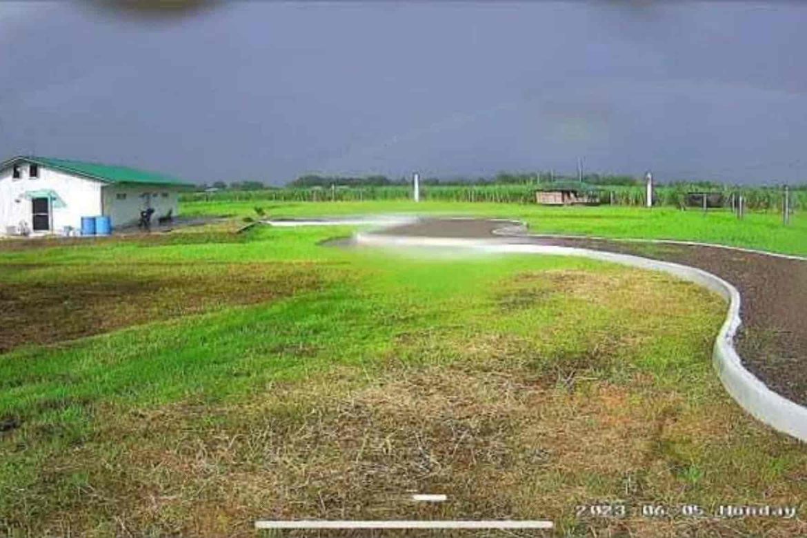Land for Sale in Abuanan, Bago, Negros Occidental