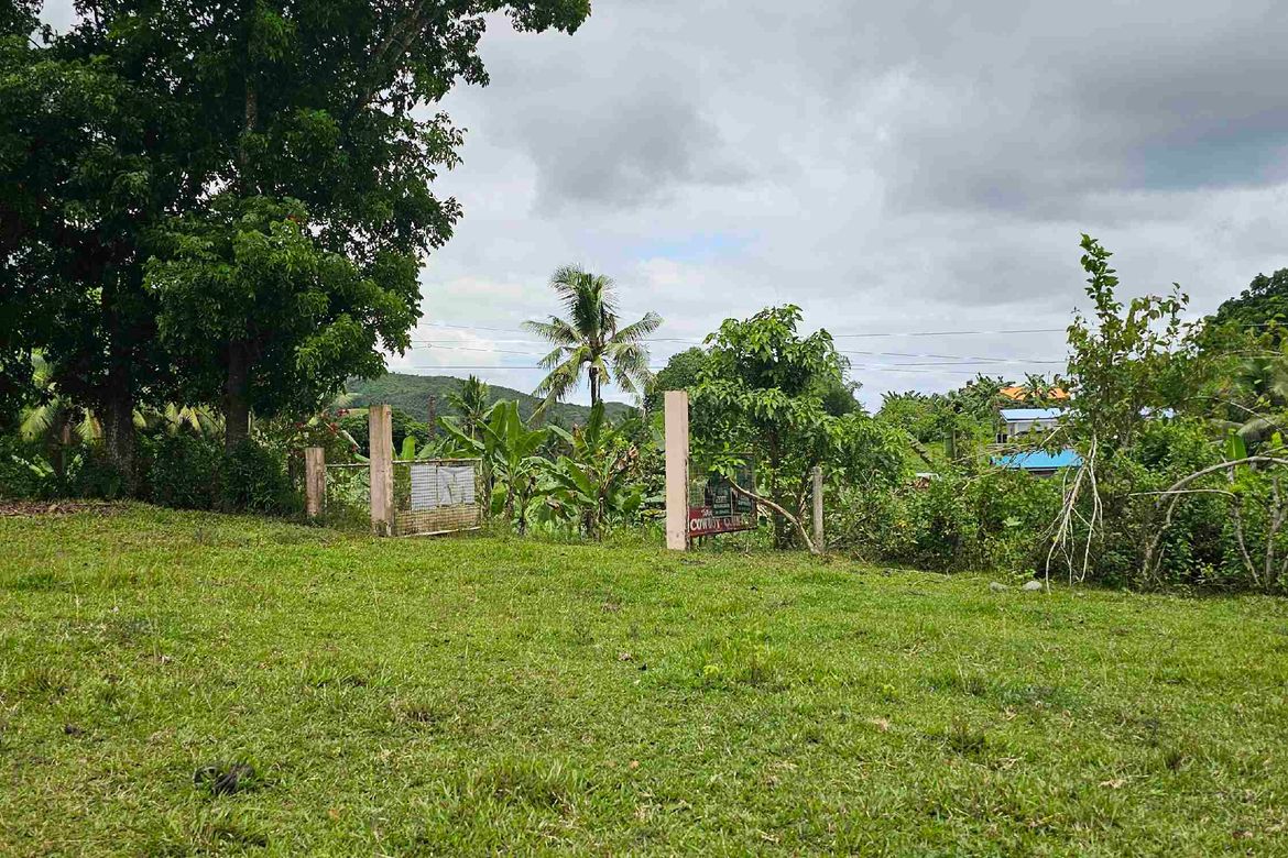 Land for Sale in Abucayan, Balamban, Cebu – photo 7