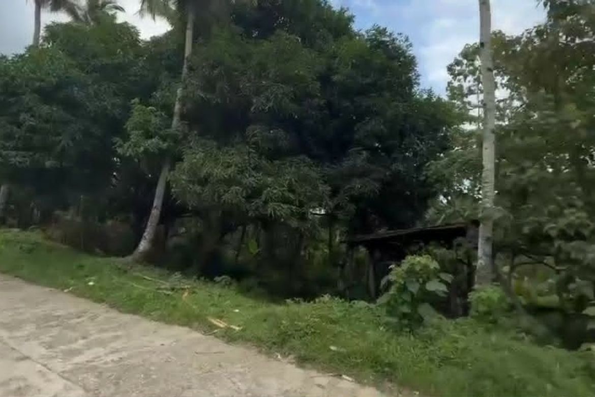 Land for Sale in Acacia, Davao City, Davao del Sur – photo 2