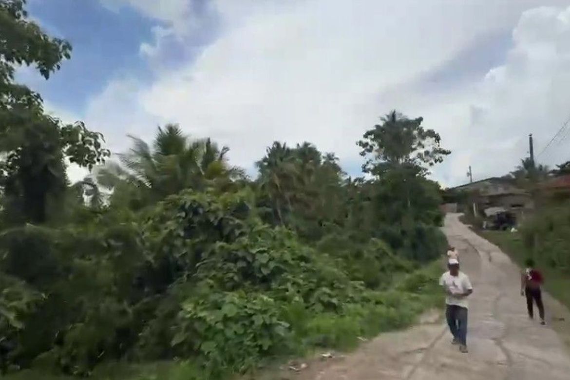 Land for Sale in Acacia, Davao City, Davao del Sur – photo 3
