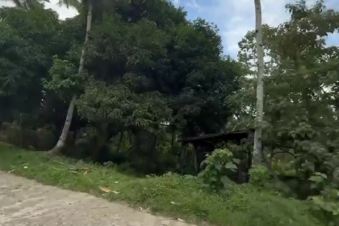 Land for Sale in Acacia, Davao City, Davao del Sur – photo 4