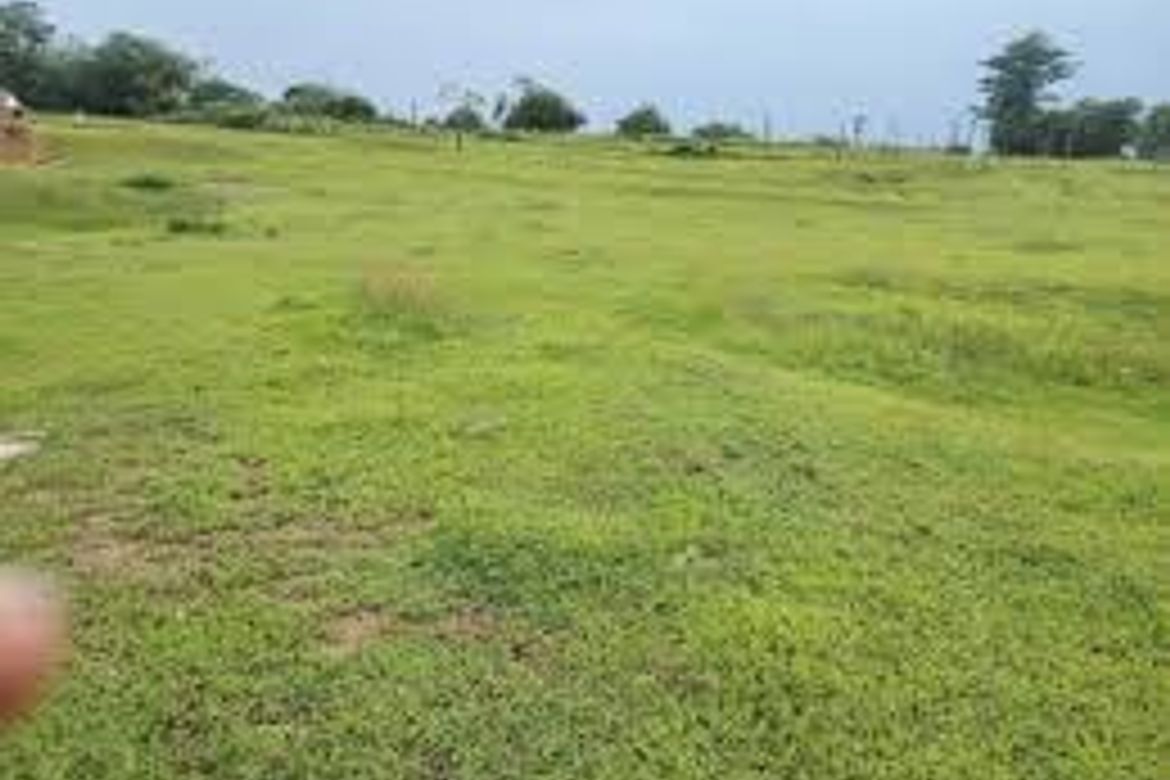 Land for Sale in Acocolao, Paniqui, Tarlac – photo 4