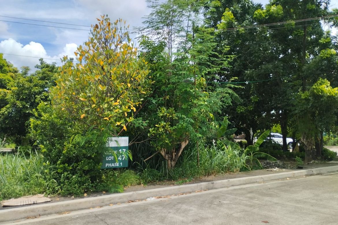 Land for Sale in Acropolis Loyola, Marikina, Metro Manila – photo 4