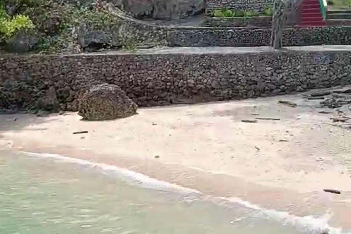 Land for Sale in Adecor, Samal, Davao del Norte – photo 3