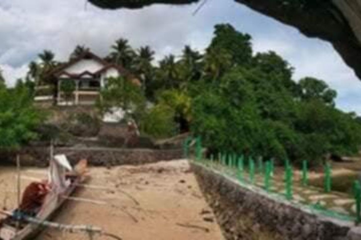 Land for Sale in Adecor, Samal, Davao del Norte – photo 5