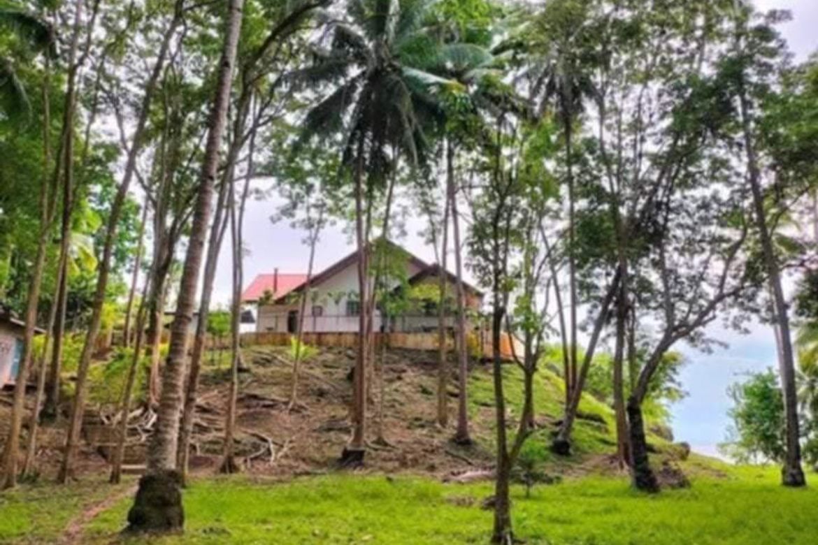 Land for Sale in Adecor, Samal, Davao del Norte – photo 7