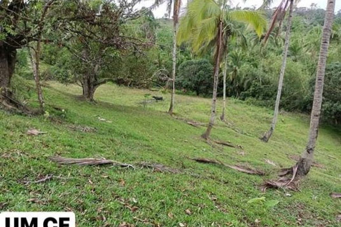 Land for Sale in Adlaon, Cebu City, Cebu – photo 2