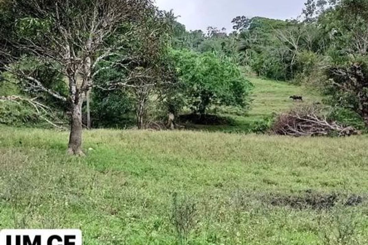 Land for Sale in Adlaon, Cebu City, Cebu – photo 6