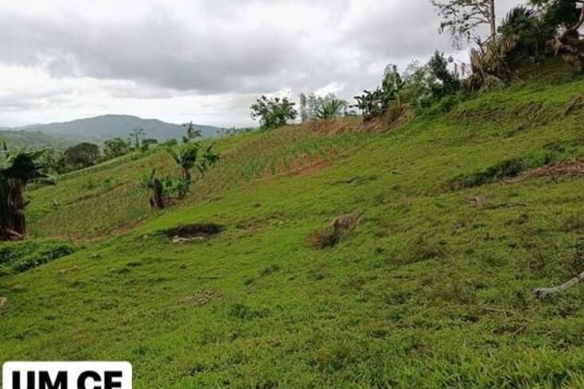 Land for Sale in Adlaon, Cebu City, Cebu – photo 7