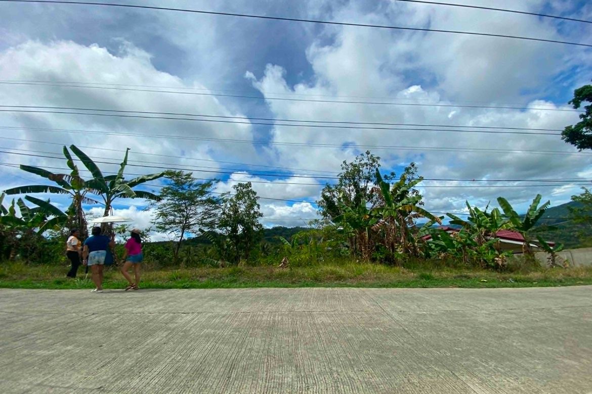 Land for Sale in Adlaon, Cebu City, Cebu
