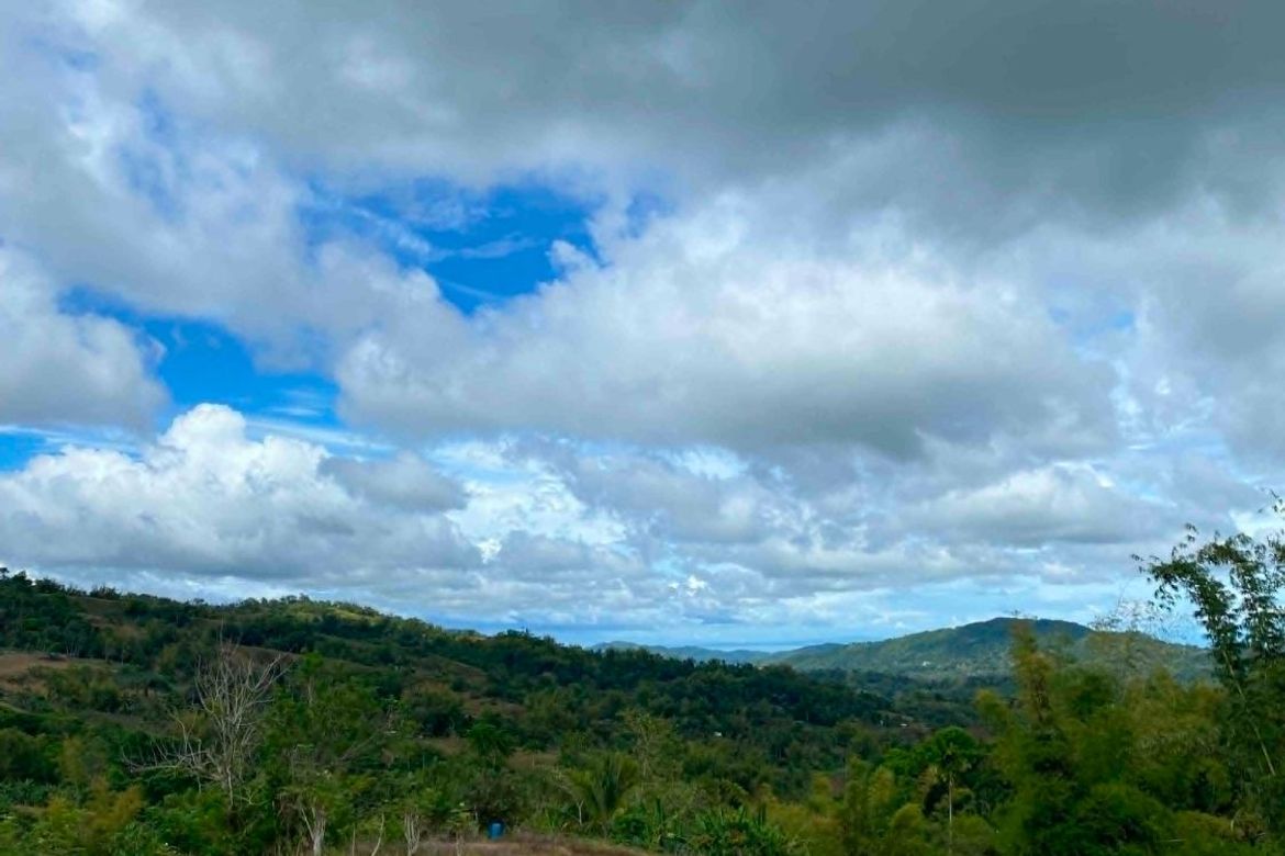 Land for Sale in Adlaon, Cebu City, Cebu – photo 2