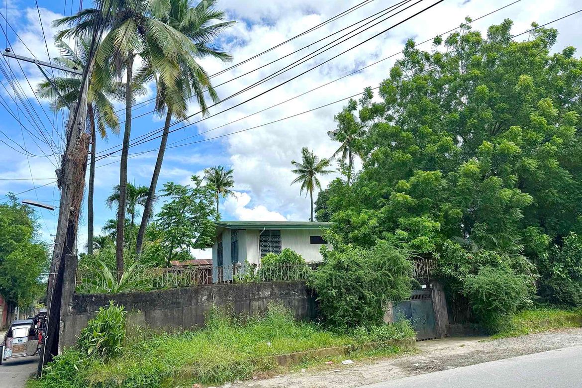Land for Sale in Aduas Centro, Cabanatuan, Nueva Ecija – photo 4