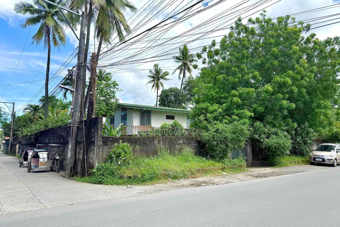 Land for Sale in Aduas Centro, Cabanatuan, Nueva Ecija – photo 6