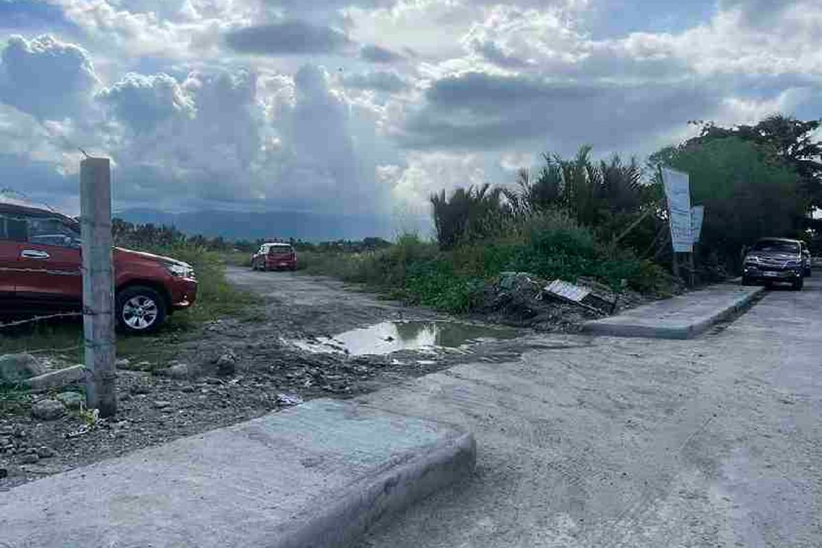 Land for Sale in Agan-An, Sibulan, Negros Oriental – photo 7
