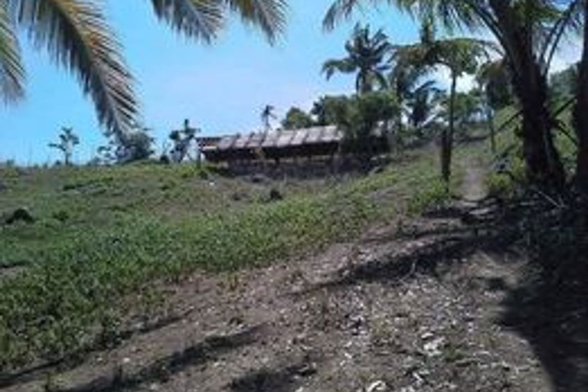 Land for Sale in Agnaga, Romblon, Romblon – photo 4