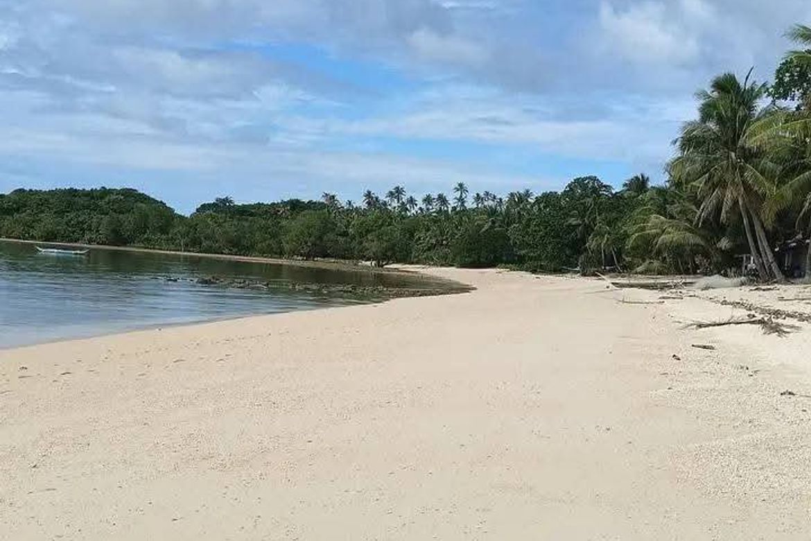 Land for Sale in Agnonoc, Ferrol, Romblon – photo 2