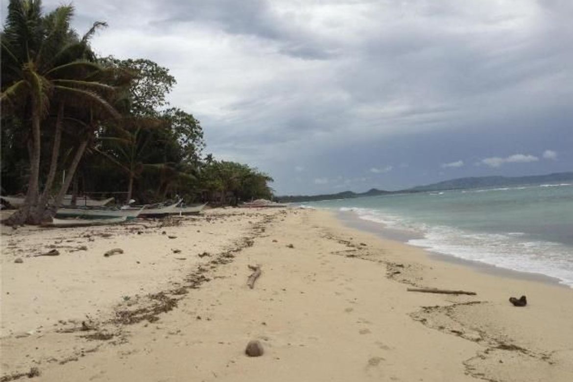 Land for Sale in Agnonoc, Ferrol, Romblon – photo 6