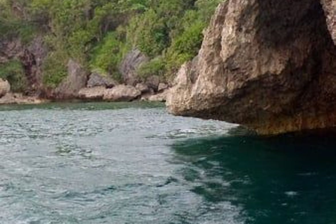 Land for Sale in Agnonoc, Ferrol, Romblon – photo 8