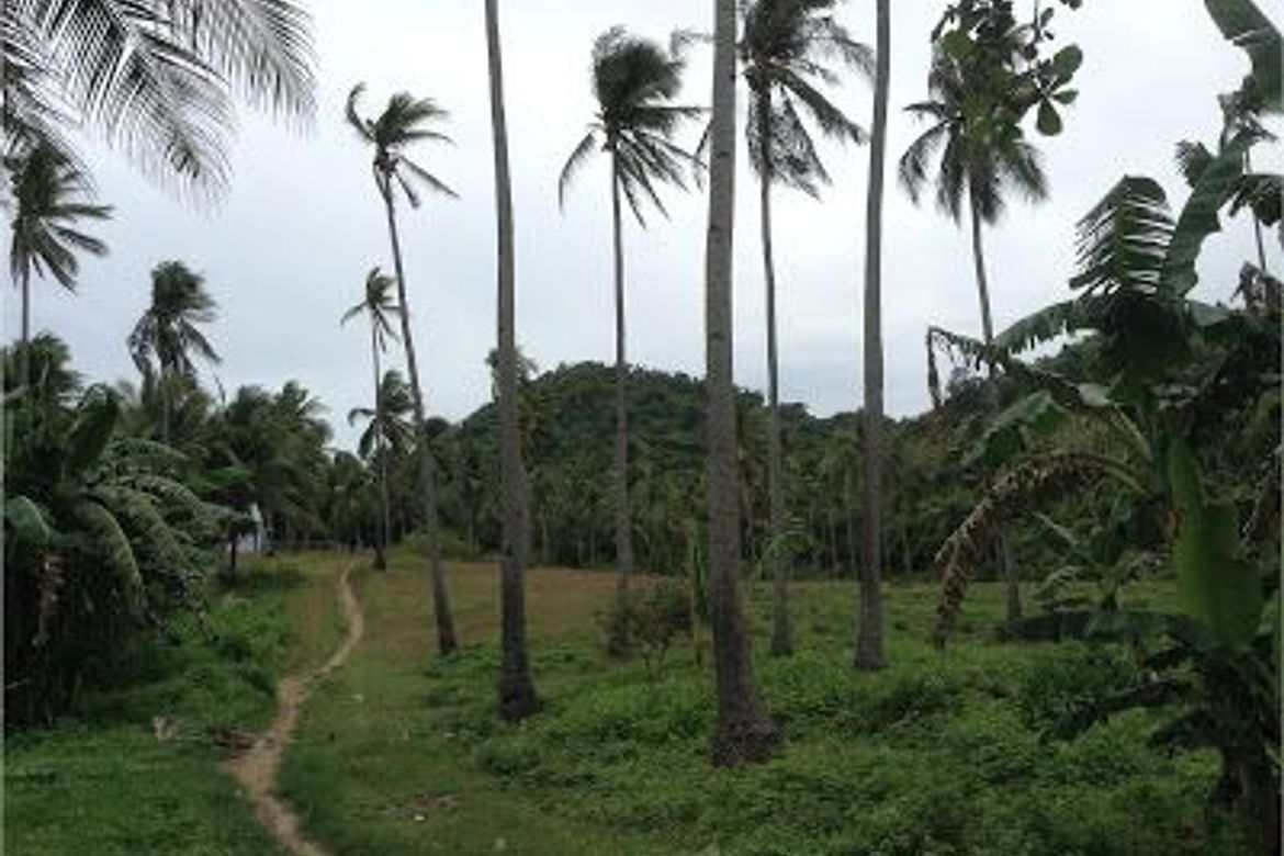 Land for Sale in Agnonoc, Ferrol, Romblon – photo 2