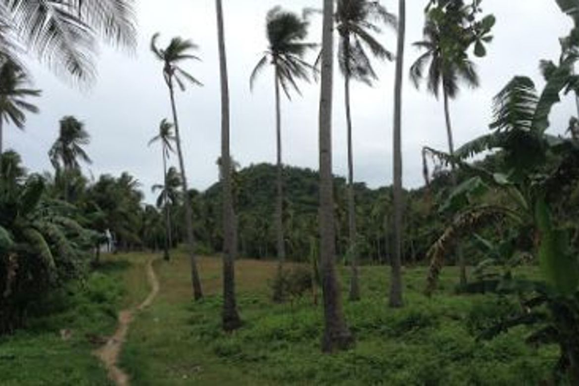 Land for Sale in Agnonoc, Ferrol, Romblon – photo 5