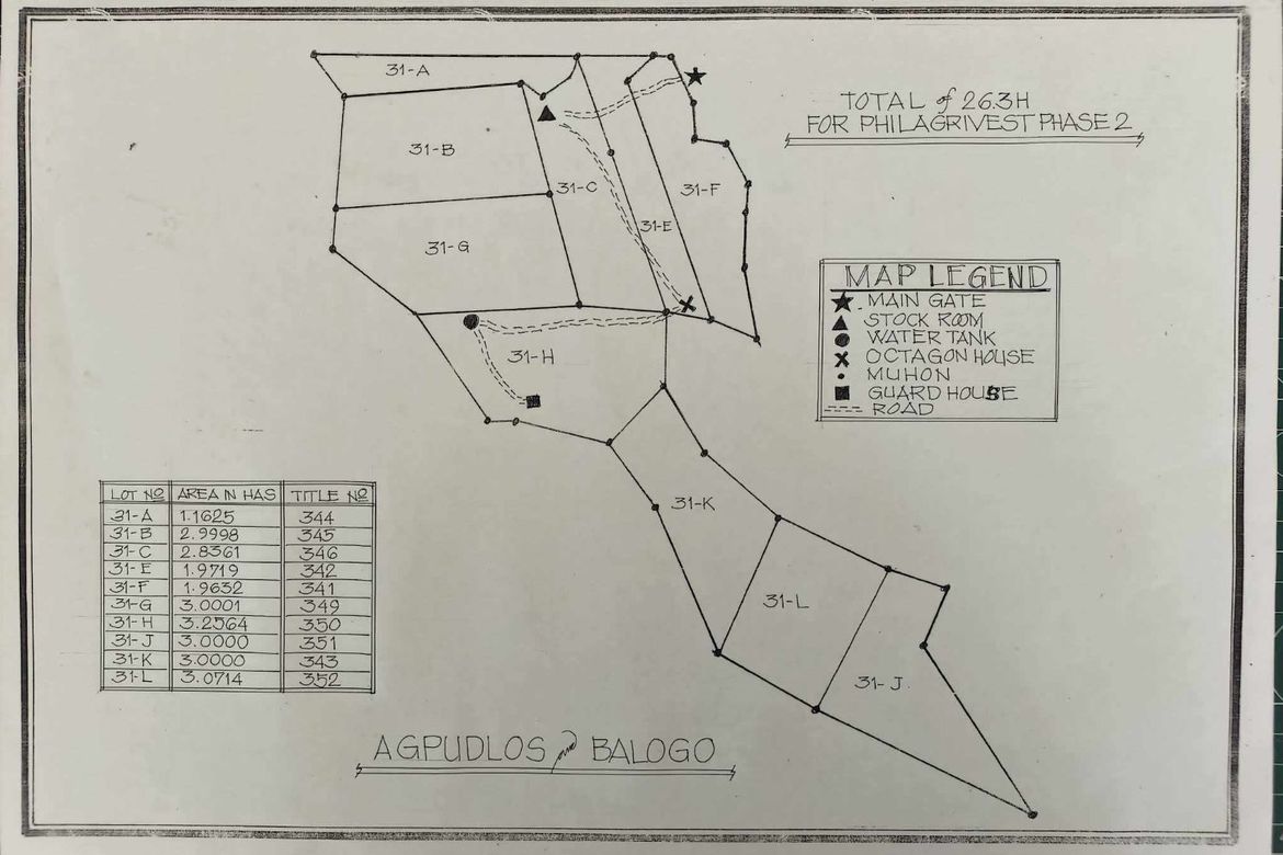 Land for Sale in Agpudlos, San Andres, Romblon – photo 2